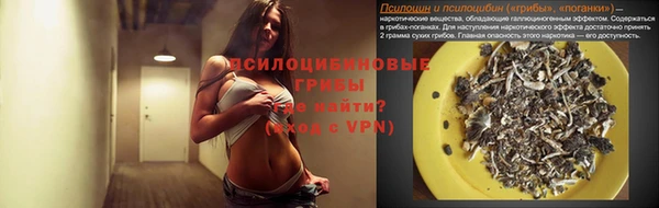 кокс Баксан